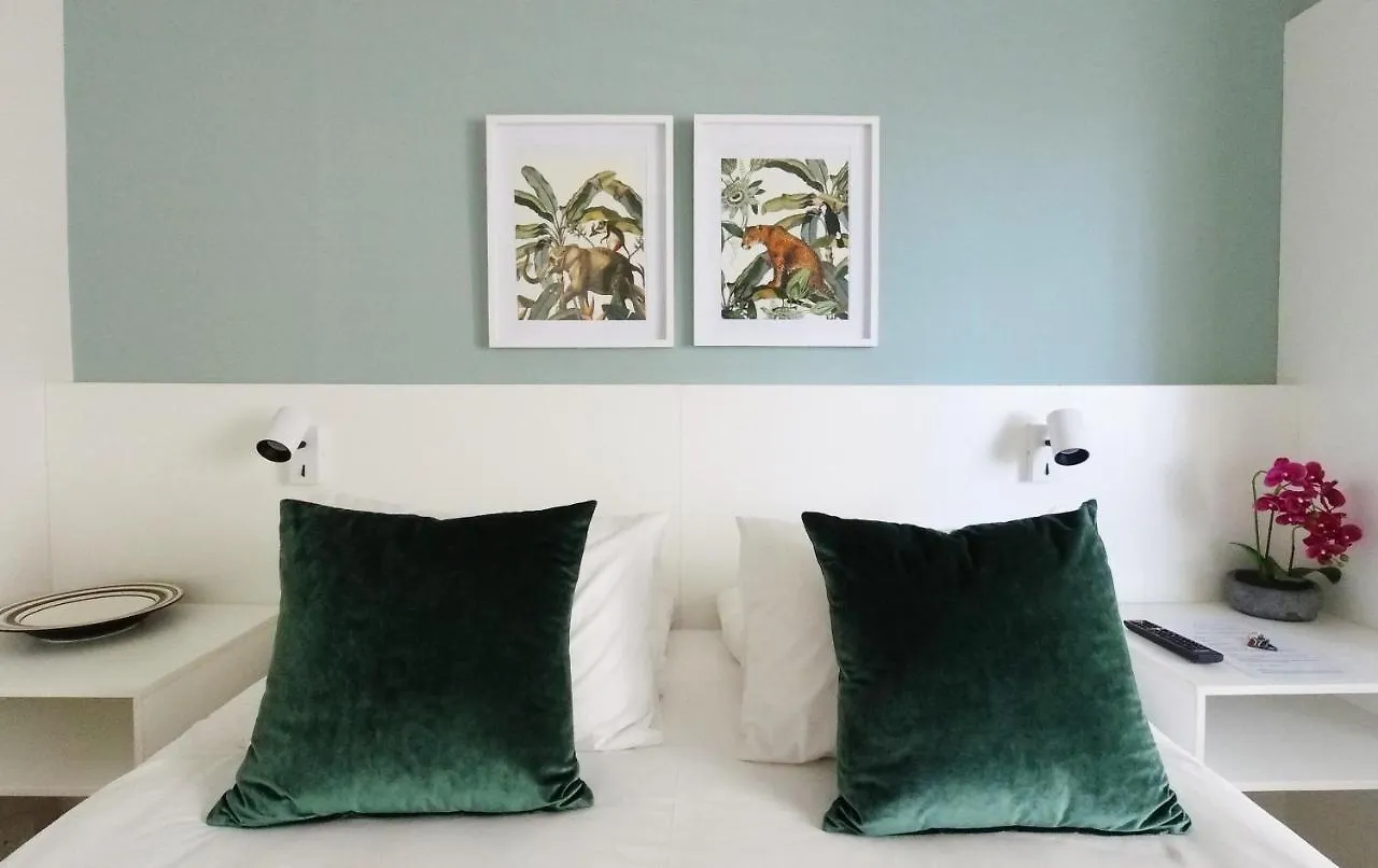 Dolphin Inn Guesthouse Cape Town South Africa