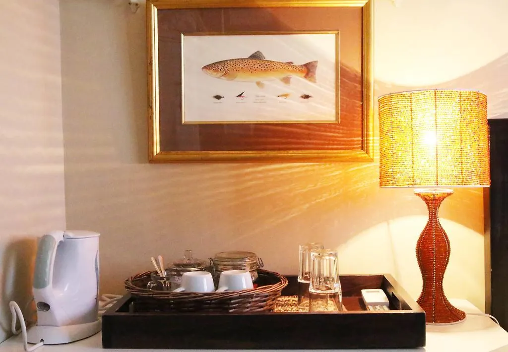 Dolphin Inn Guesthouse Cape Town Bed & Breakfast